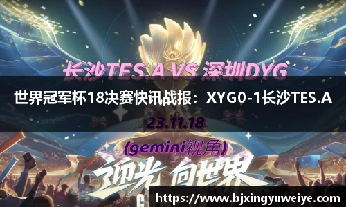 bsports官网入口