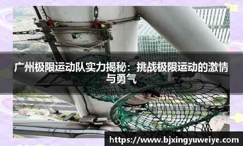 B体育官网