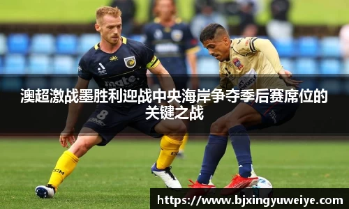 B体育官网